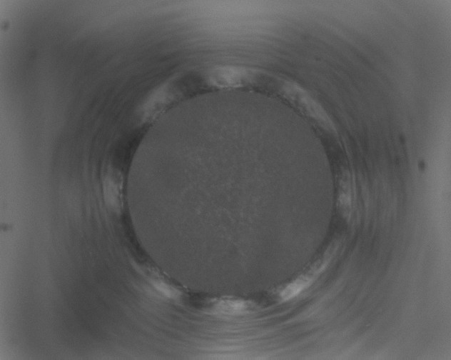 X0000051240332200506241528