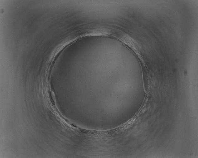 X0000051240337200506241527