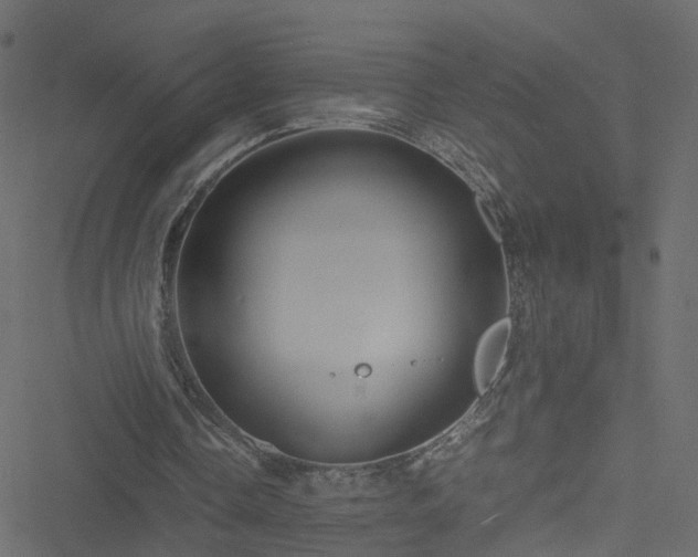 X0000051240338200506241527