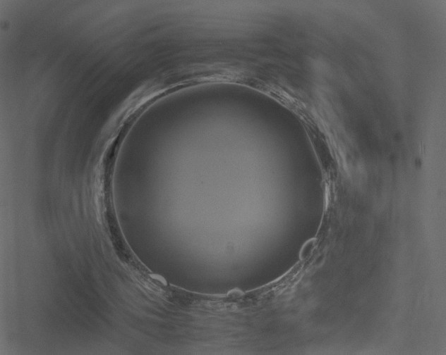 X0000051240339200506241527