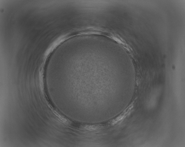 X0000051240341200506241527