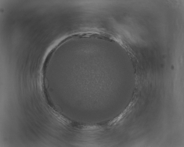 X0000051240342200506241527