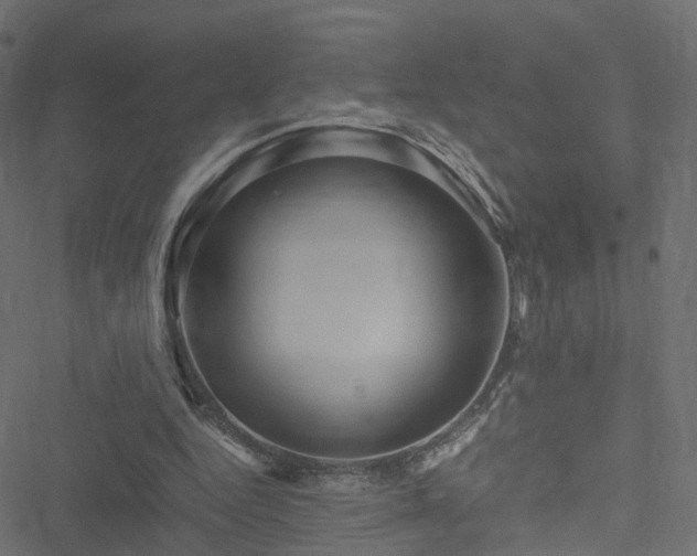 X0000051240344200506241527