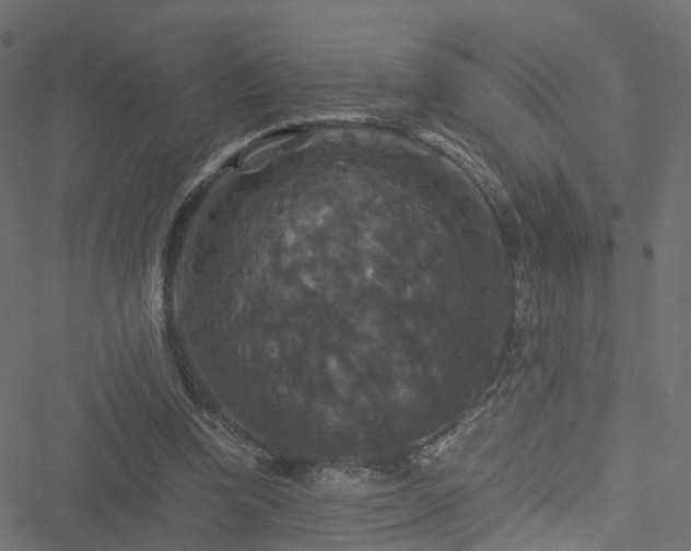 X0000051240346200506241527