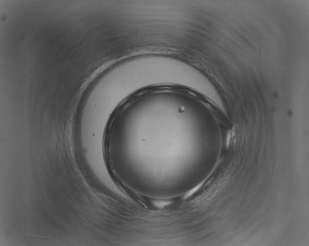 X0000051240348200506241527