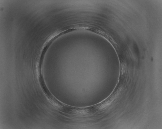 X0000051240349200506241527