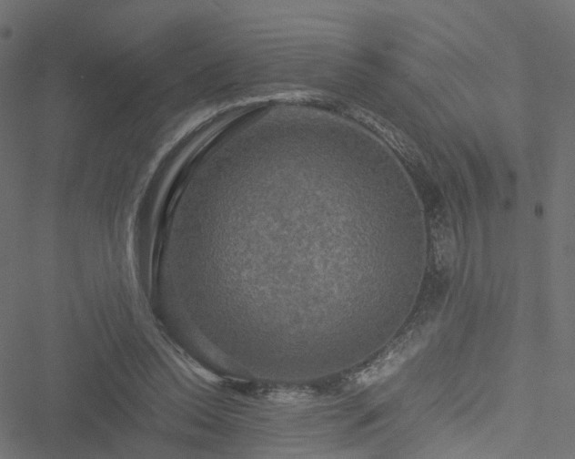 X0000051240350200506241527