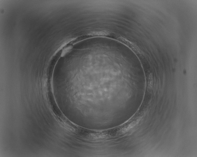 X0000051240351200506241527