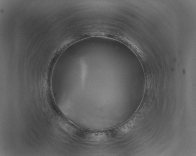 X0000051240353200506241527