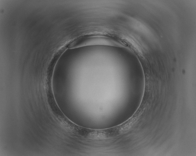 X0000051240354200506241527