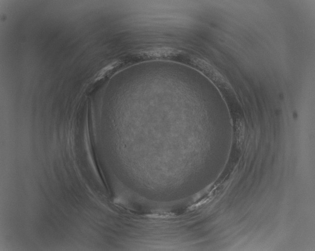 X0000051240356200506241527