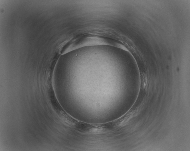 X0000051240364200506241527