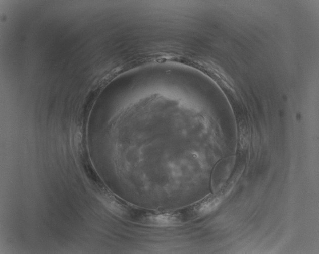 X0000051240365200506241527