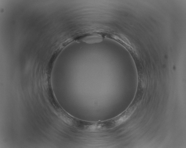 X0000051240366200506241527