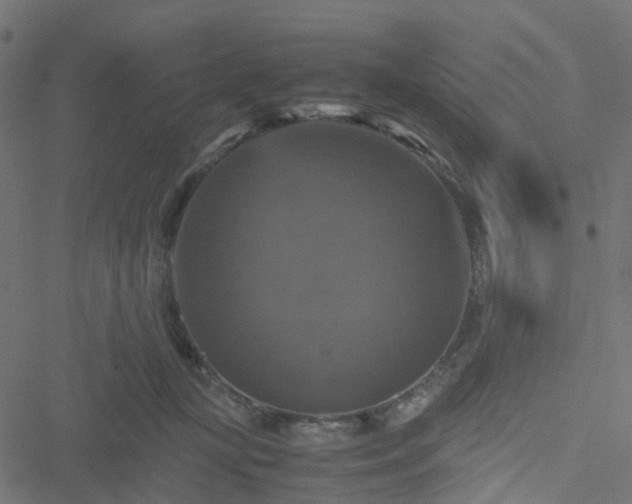 X0000051240367200506241527