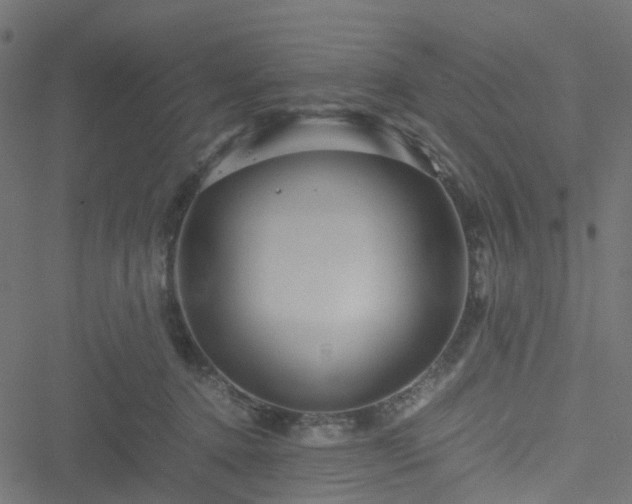 X0000051240368200506241527