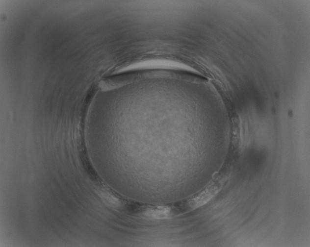 X0000051240369200506241527