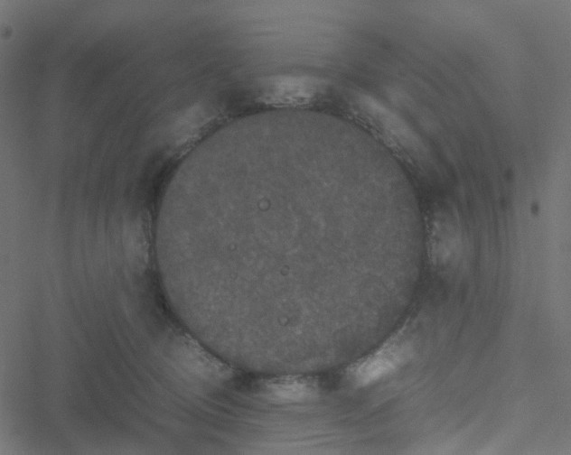 X0000051240370200506241527