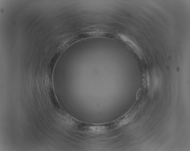 X0000051240371200506241527