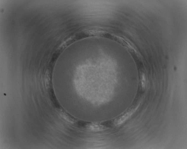 X0000051240372200506241527