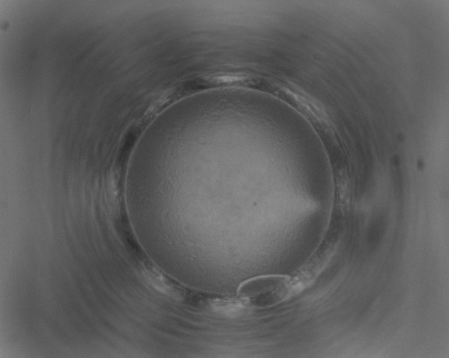 X0000051240373200506241527