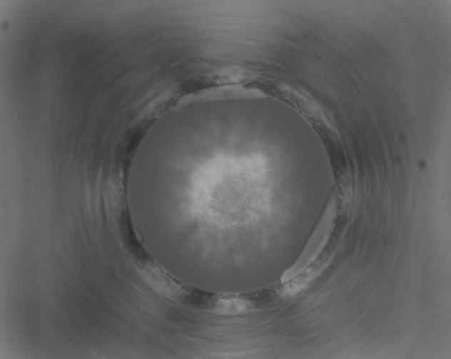 X0000051240376200506241527