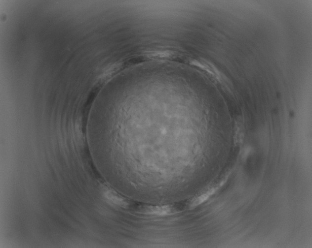 X0000051240377200506241527