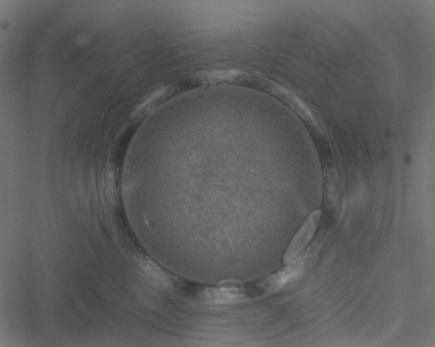 X0000051240378200506241527