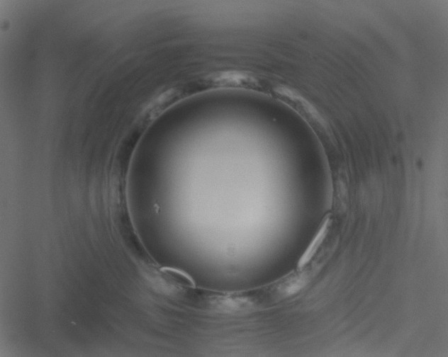 X0000051240379200506241527