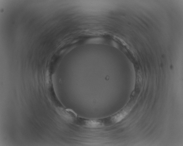 X0000051240380200506241527