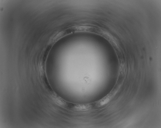 X0000051240381200506241527