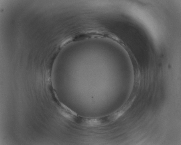 X0000051240383200506241527