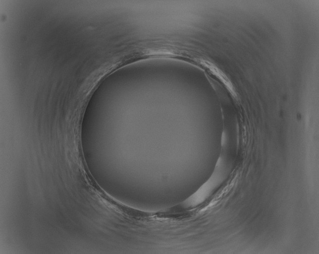 X0000051240385200506241527