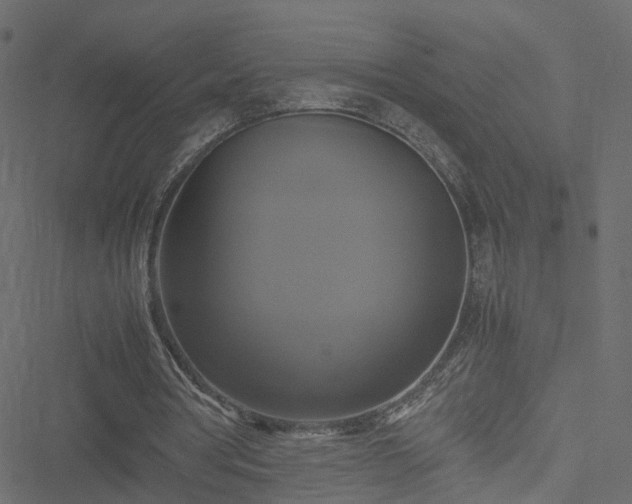 X0000051240386200506241527