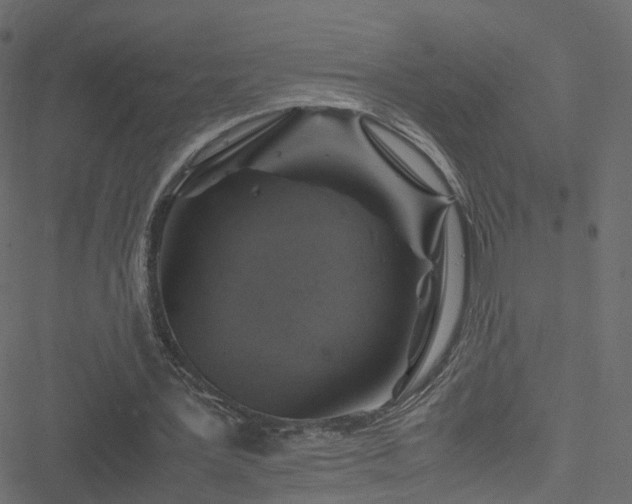 X0000051240387200506241527