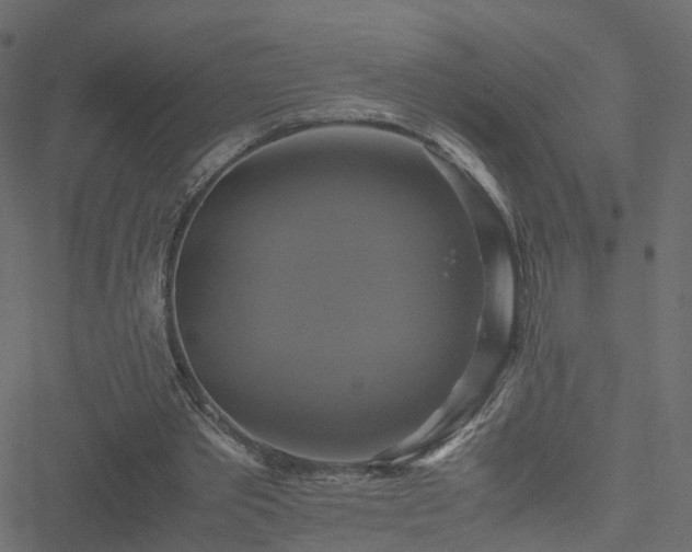 X0000051240389200506241527