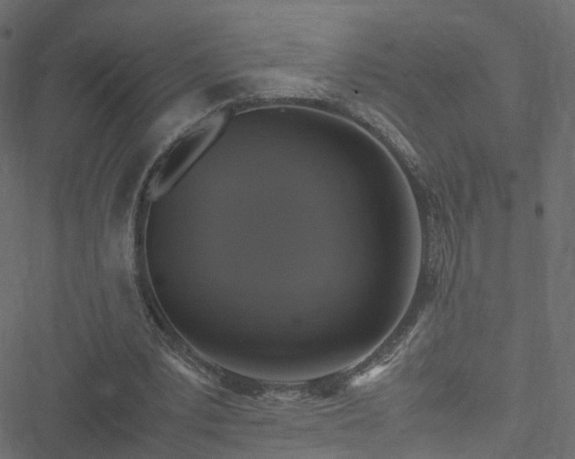 X0000051240391200506241527