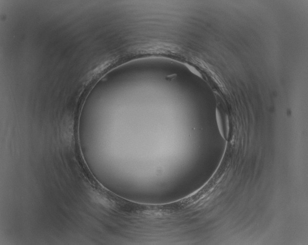 X0000051240394200506241526