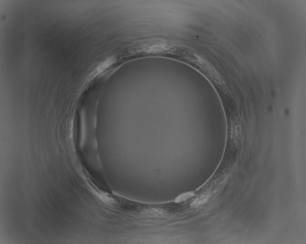 X0000051240397200506241526