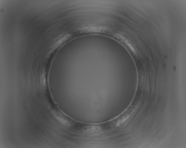 X0000051240398200506241526