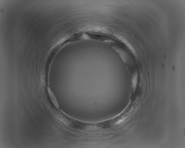 X0000051240399200506241526