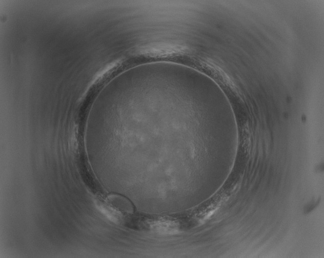 X0000051240400200506241526