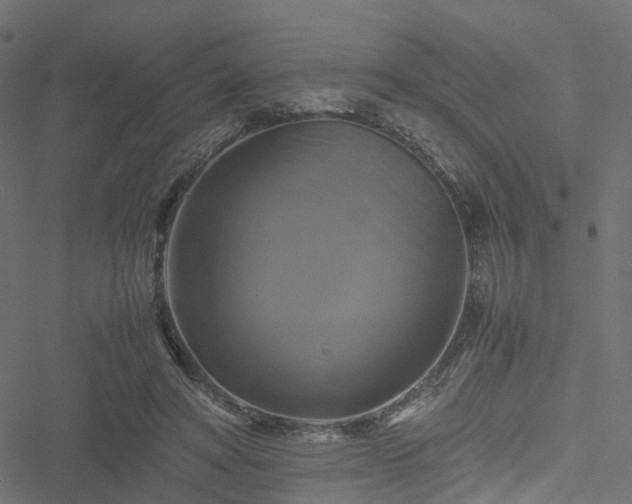 X0000051240402200506241526