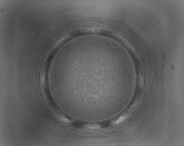 X0000051240403200506241526