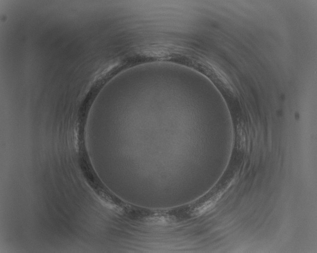 X0000051240404200506241526