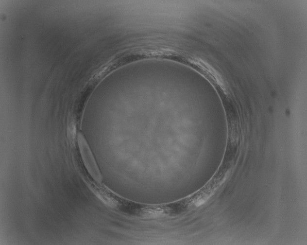 X0000051240405200506241526