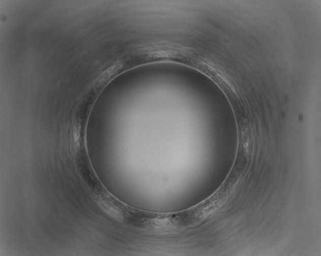 X0000051240406200506241526