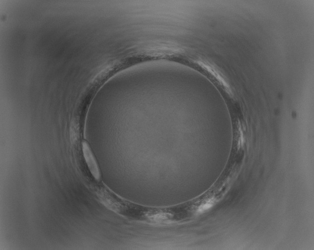 X0000051240407200506241526