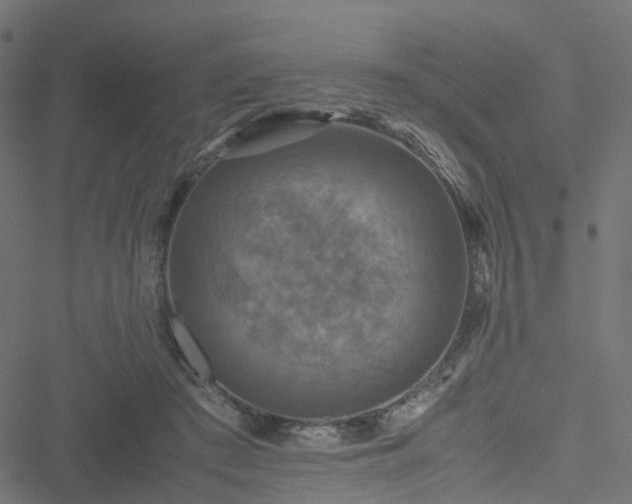 X0000051240409200506241526