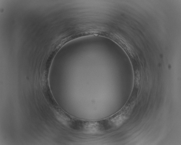 X0000051240410200506241526